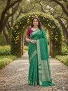 Cyra Premium Zari Woven With Nylon Chit Pallu Saree with viscos Blouse